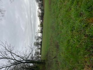 000 Luney Drive, Cassville, MO 65625