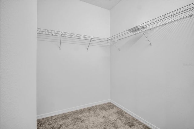 11531 SHIPWATCH DRIVE 1037, Largo, FL 33774