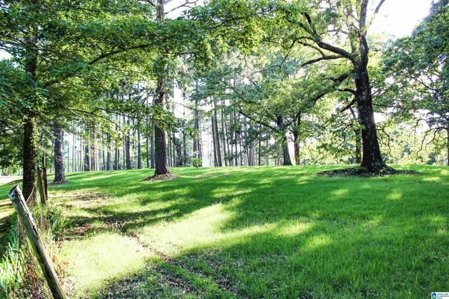 1505 KING STREET, Montevallo, AL 35115