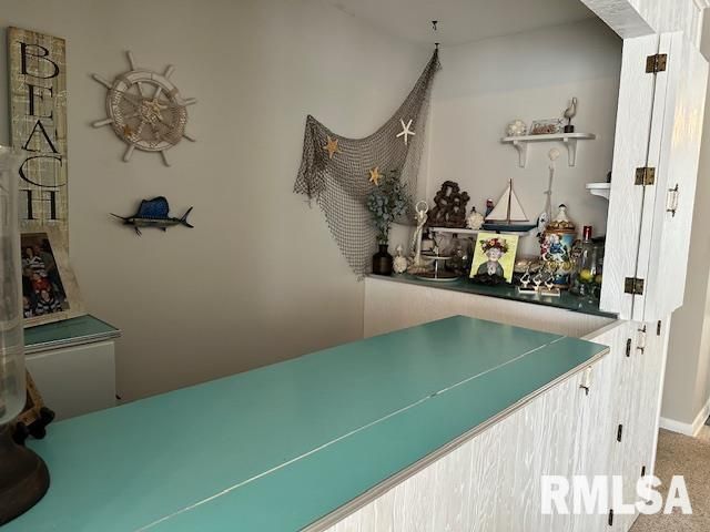 1903 MOUND Road, Jacksonville, IL 62650