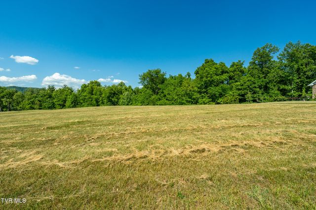 Tbd Deer Ridge Court Lot 6, Butler, TN 37640
