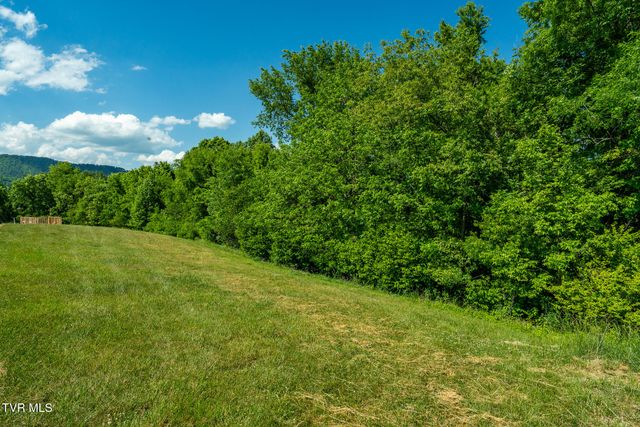 Tbd Deer Ridge Court Lot 6, Butler, TN 37640