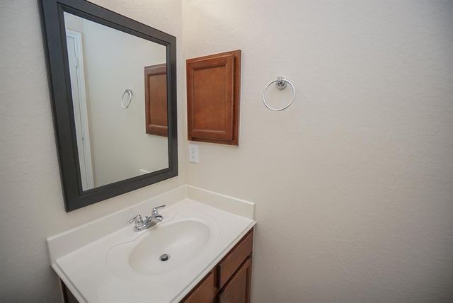 24223 Courtland Oaks Street, Katy, TX 77494