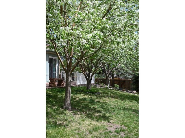 16876 W 67th Cir, Arvada, CO 80007