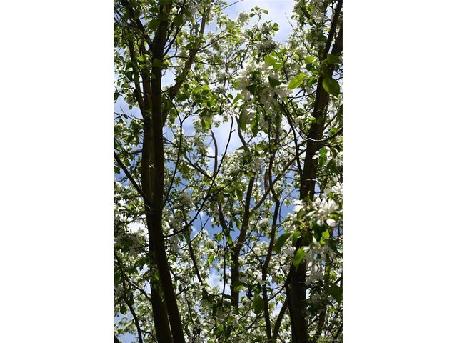 16876 W 67th Cir, Arvada, CO 80007