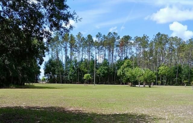 17749 SE 156TH PLACE ROAD, Weirsdale, FL 32195