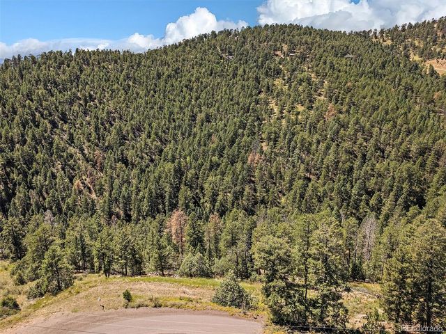 13809 Elsie Road, Conifer, CO 80433