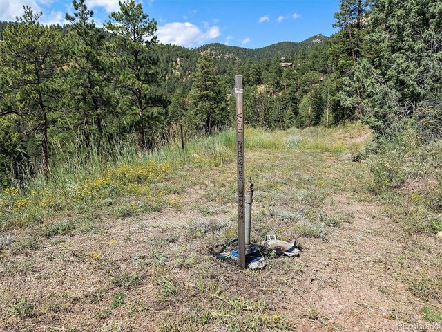 13809 Elsie Road, Conifer, CO 80433