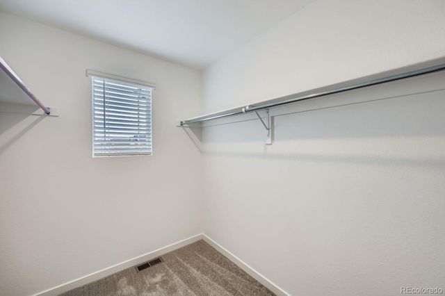 8970 Blue Feather Loop, Colorado Springs, CO 80908