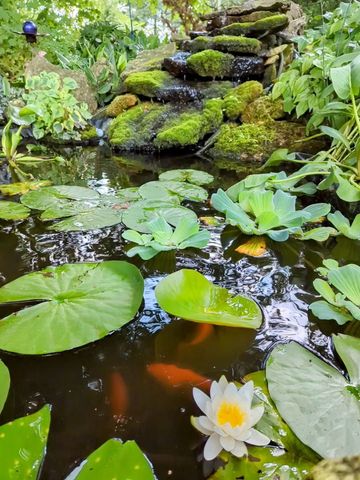 2829 Chippewa Drive, Bourbonnais, IL 60914