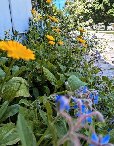 2829 Chippewa Drive, Bourbonnais, IL 60914