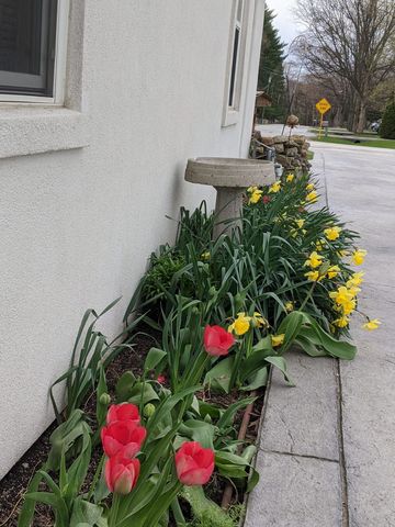 2829 Chippewa Drive, Bourbonnais, IL 60914