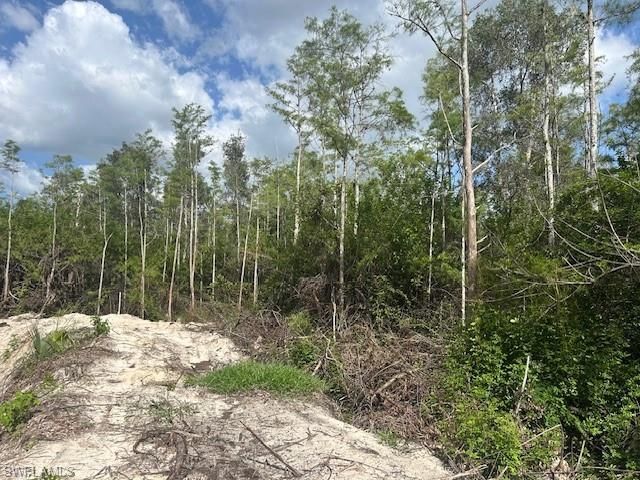 3 RIO GRANDE DR, Bonita Springs, FL 34135