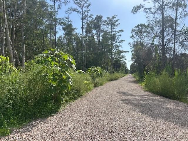 3 RIO GRANDE DR, Bonita Springs, FL 34135