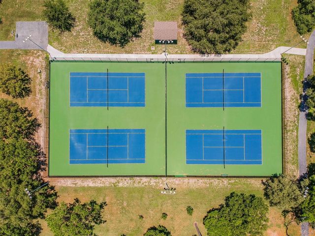 515 SANDY HOOK ROAD, Palm Harbor, FL 34683