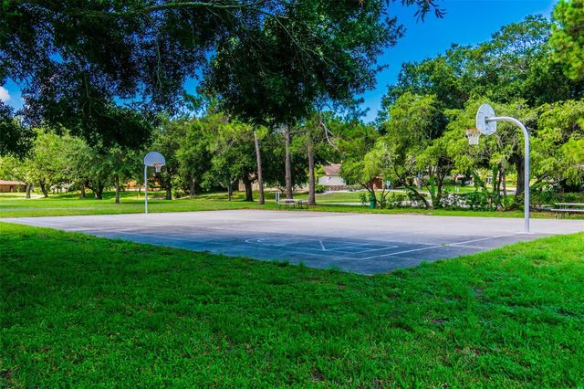 515 SANDY HOOK ROAD, Palm Harbor, FL 34683