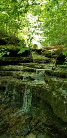 6045 Green Road, Bloomington Springs, TN 38545