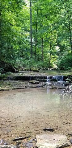 6045 Green Road, Bloomington Springs, TN 38545