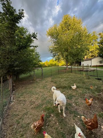 6045 Green Road, Bloomington Springs, TN 38545