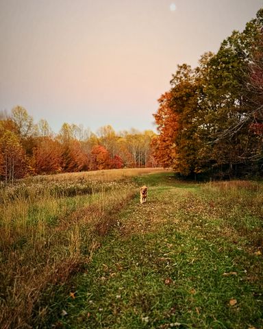 6045 Green Road, Bloomington Springs, TN 38545