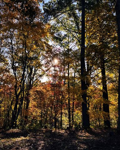 6045 Green Road, Bloomington Springs, TN 38545