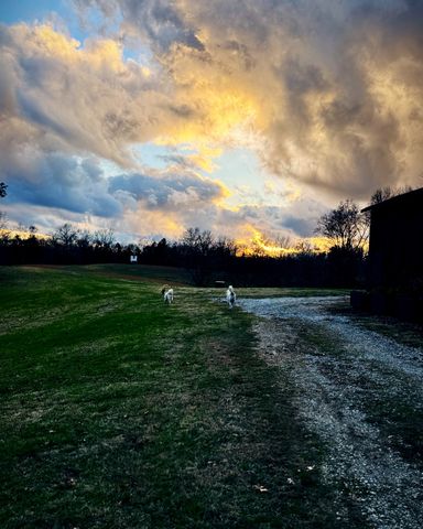 6045 Green Road, Bloomington Springs, TN 38545