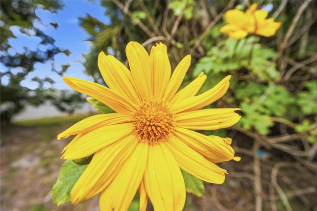 309 BASE AVENUE E, Venice, FL 34285