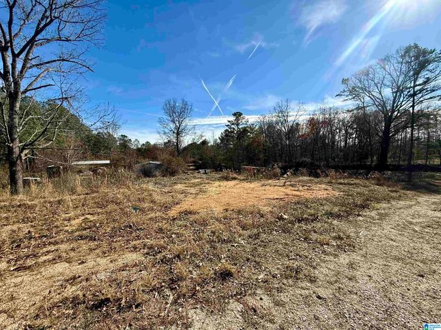 196 ARCO DAIRY ROAD, Alpine, AL 35014