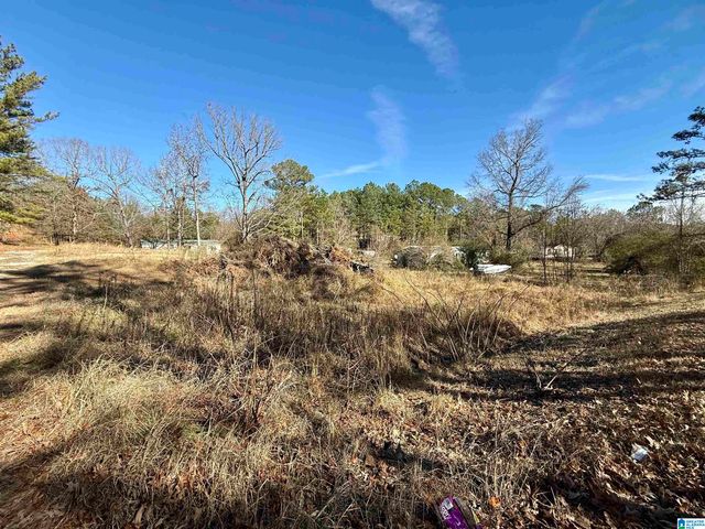 196 ARCO DAIRY ROAD, Alpine, AL 35014