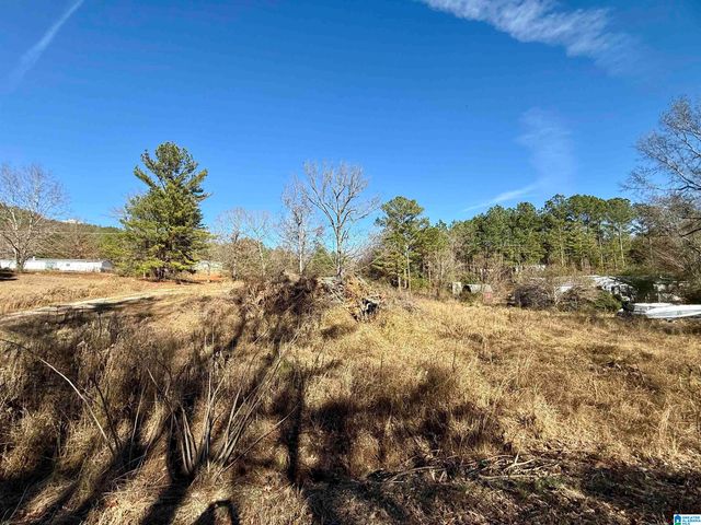 196 ARCO DAIRY ROAD, Alpine, AL 35014