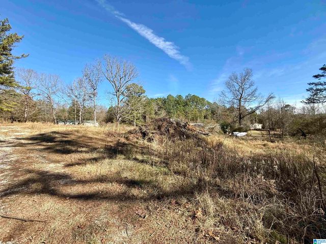 196 ARCO DAIRY ROAD, Alpine, AL 35014