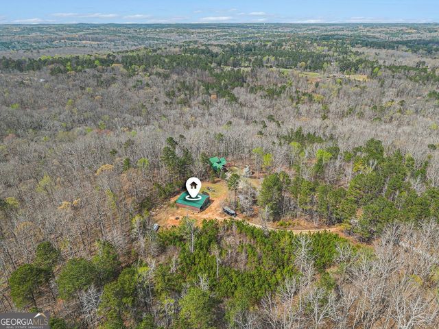9150 W Banks Mill Road, Winston, GA 30187