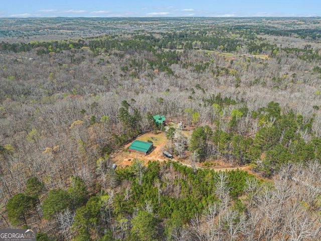 9150 W Banks Mill Road, Winston, GA 30187