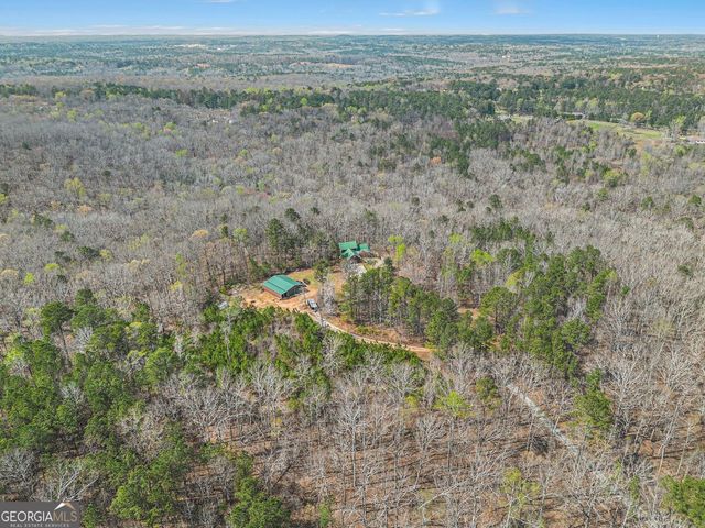 9150 W Banks Mill Road, Winston, GA 30187