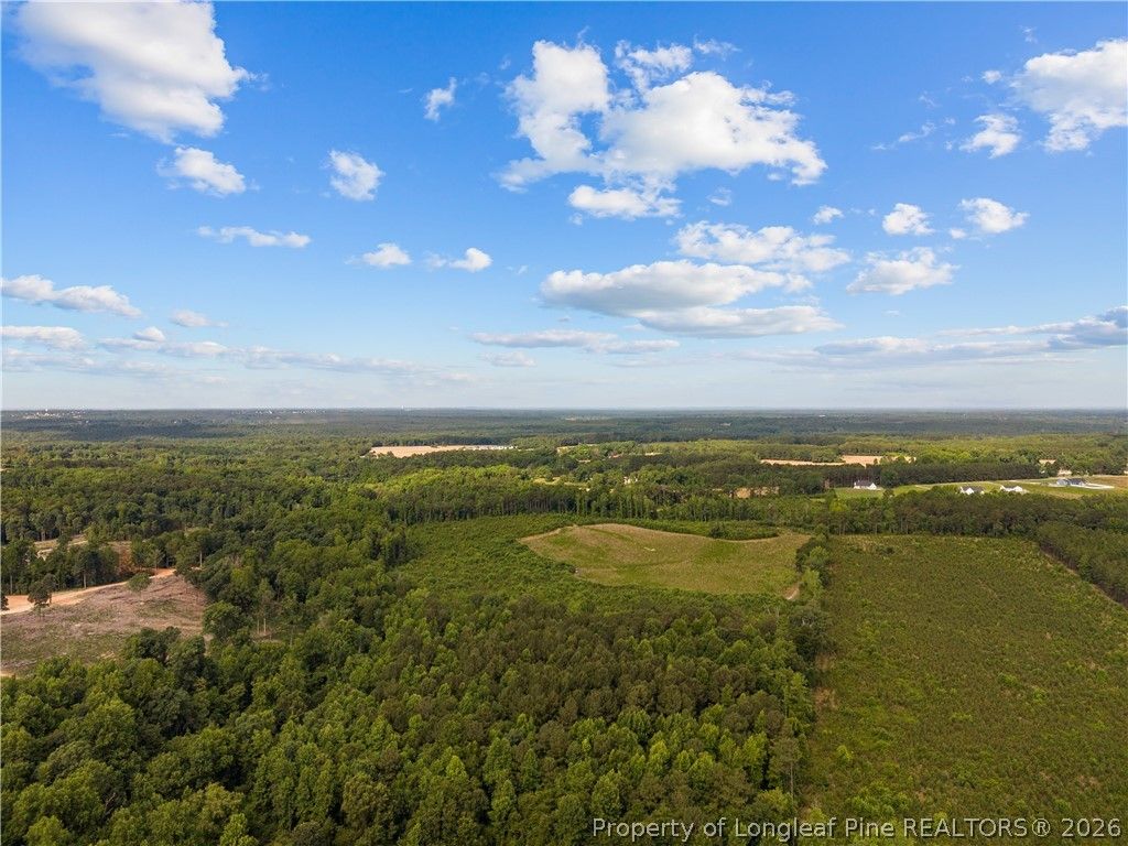Leaflet Church Road, Lillington, NC 27546 — photo 10