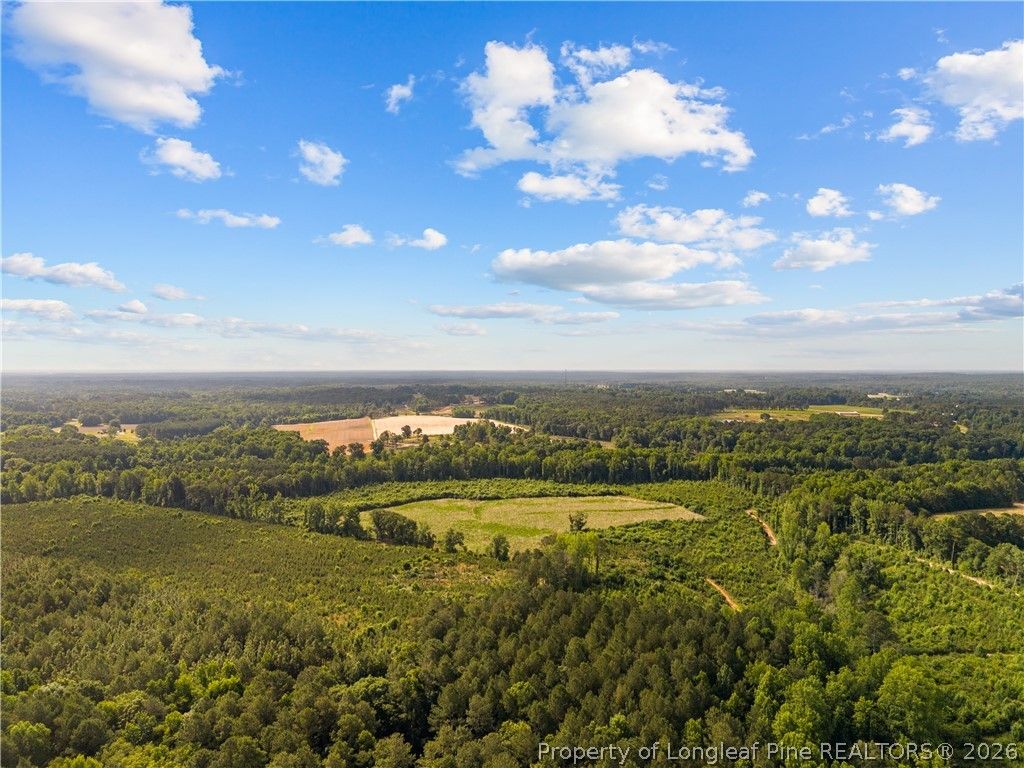 Leaflet Church Road, Lillington, NC 27546 — photo 13