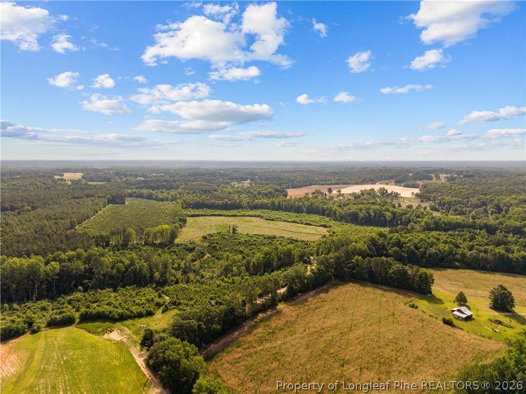 Leaflet Church Road, Lillington, NC 27546 — photo 16