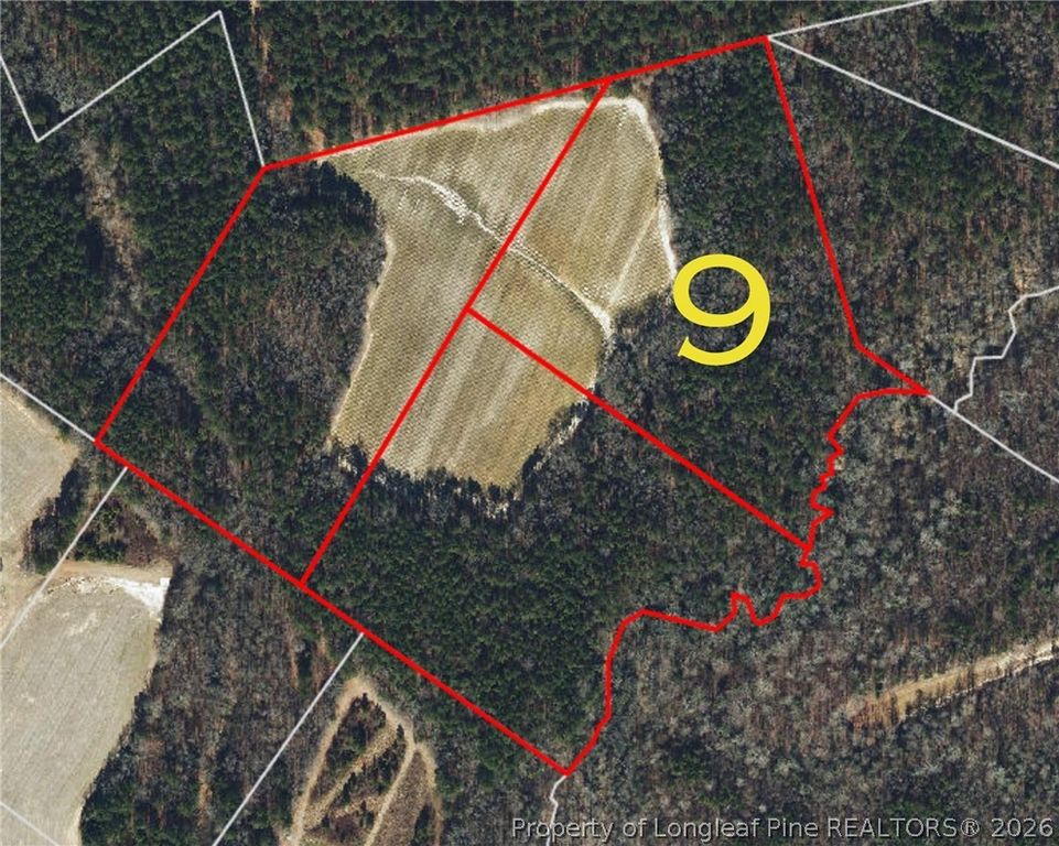 Leaflet Church Road, Lillington, NC 27546 — photo 19