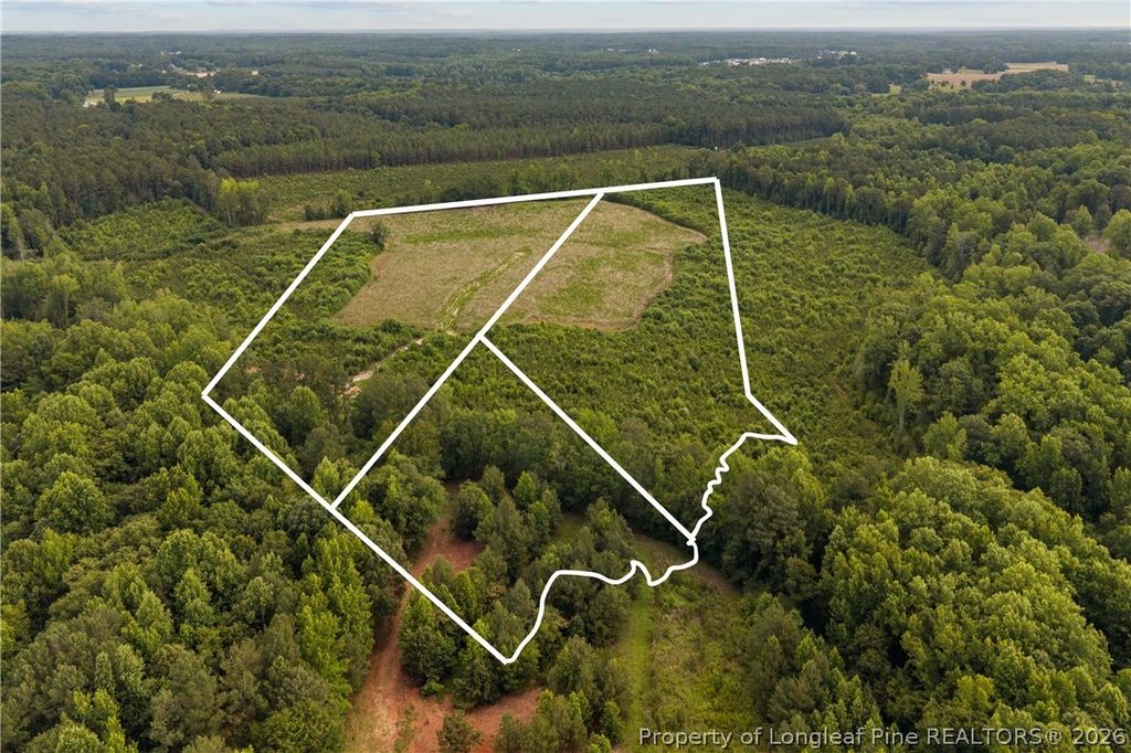 Leaflet Church Road, Lillington, NC 27546 — photo 20