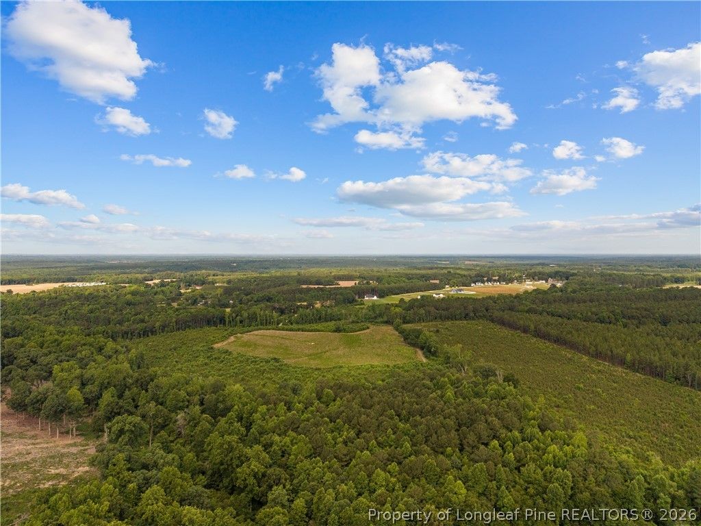 Leaflet Church Road, Lillington, NC 27546 — photo 9