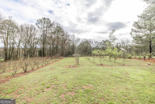 319 Pope Road, Roberta, GA 31078