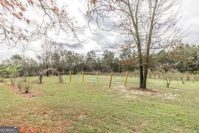 319 Pope Road, Roberta, GA 31078