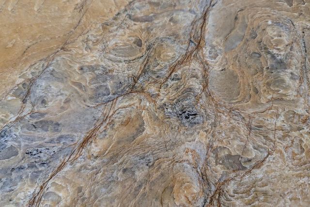 1418 Meadow Lane, Mountain View, CA 94040