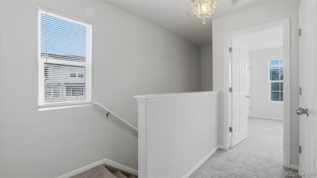 2199 Squawbush Ridge Grove, Colorado Springs, CO 80910