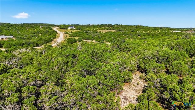 514 Canyon Rock Drive, Spring Branch, TX 78070