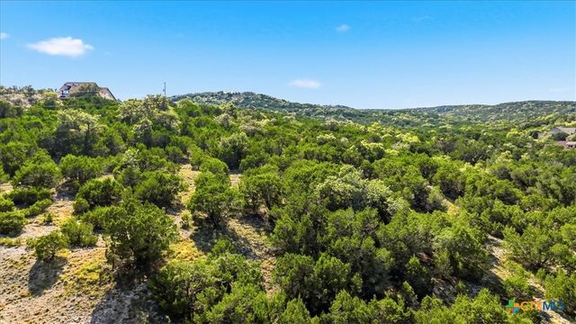 514 Canyon Rock Drive, Spring Branch, TX 78070