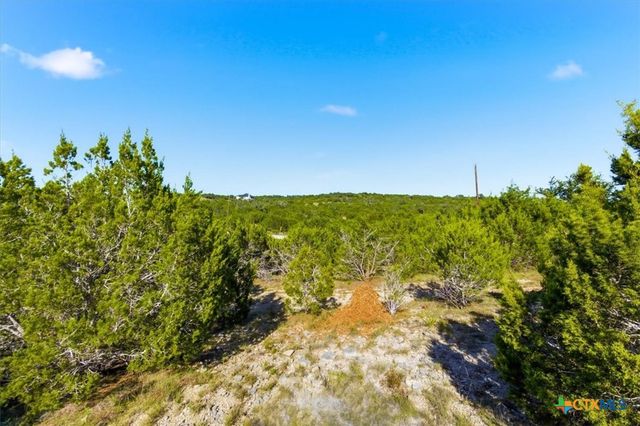 514 Canyon Rock Drive, Spring Branch, TX 78070