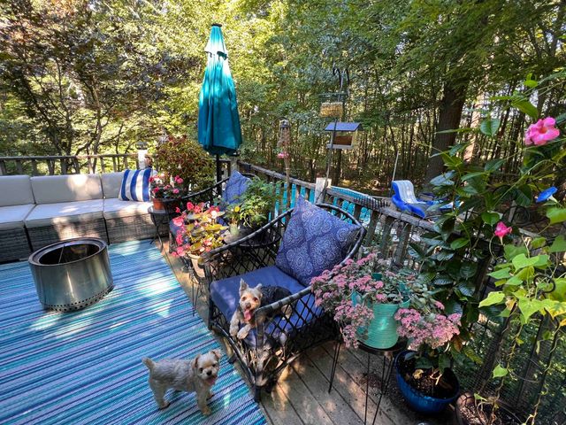 255 Stable Road, Milford, NH 03055