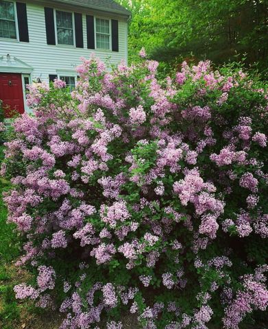 255 Stable Road, Milford, NH 03055