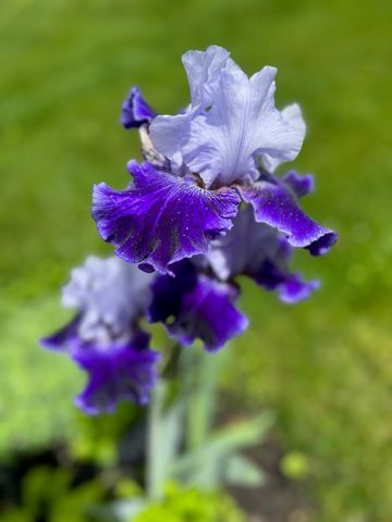 255 Stable Road, Milford, NH 03055